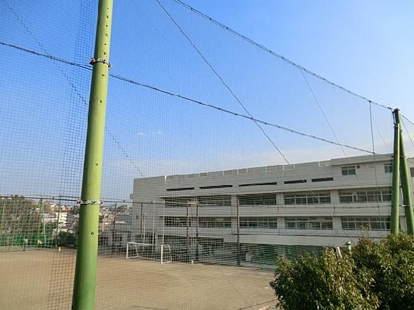 横浜市立平戸中学校(横浜市立平戸中学校まで1000m)