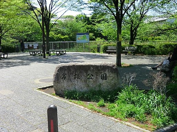 岸根公園(広々とした芝生広場や桜が綺麗な篠原池のほか、野球場、県立武道館などがあります。「忍者とりで」は、吊り橋などの複合遊具があり、子どもたちに人気のスポットです。)