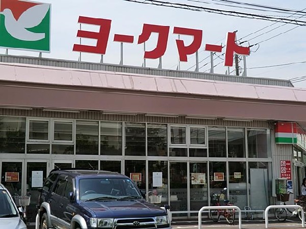 ヨークマート大倉山店(ヨークマート大倉山店まで1200m)