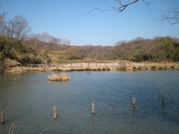 舞岡公園(舞岡公園まで900m)