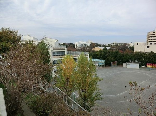 横浜市立中尾小学校(横浜市立中尾小学校(横浜市立中尾小学校(横浜市立中尾小学校まで220m))