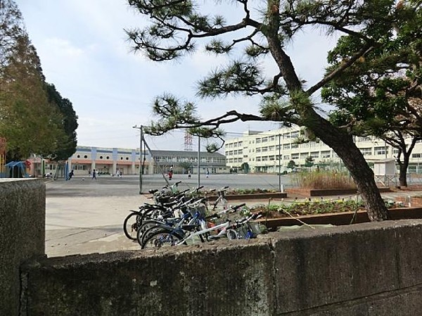 横浜市立東希望が丘小学校(横浜市立東希望が丘小学校まで450m)