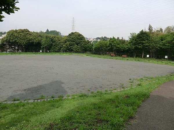 白根東公園(白根東公園まで500m)