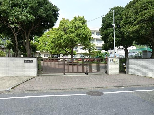 横浜市立公田小学校(横浜市立公田小学校まで260m)