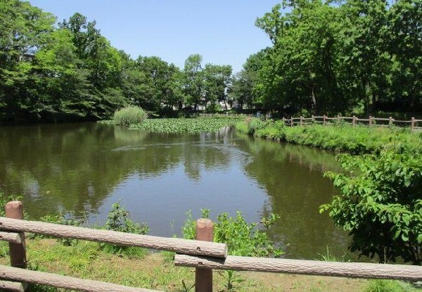 菊名池公園(菊名池公園まで620m)