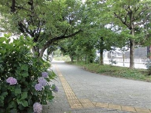 仲手原緑道(仲手原緑道まで870m)