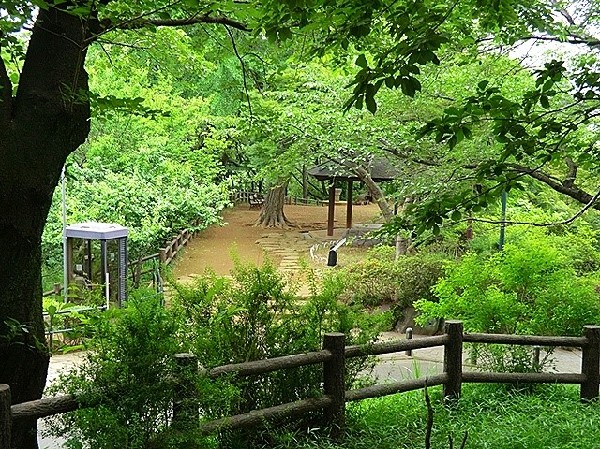 大倉山公園　(梅林で有名な大きな公園、お休みの日にのんびりと過ごすことが出来ます。ドラマのロケ地にもなっています)