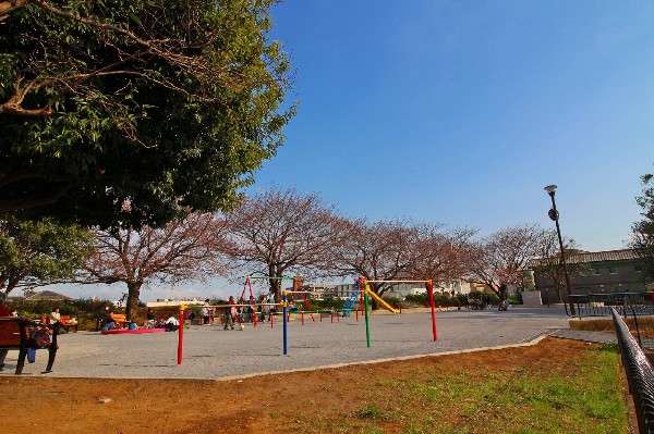 日吉六丁目鏡ヶ淵公園(鶴見川沿いの桜がキレイな公園です。区で３つのプレイパークの内の一つです。)