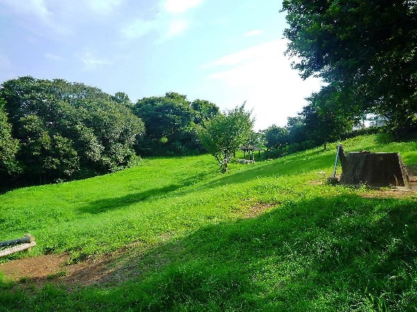 東本郷公園(元々あった竹林を活かして散策路が作られており、その先には起伏に富んだ原っぱや遊具が配置され、区民の憩いの広場として愛されている公園です。)