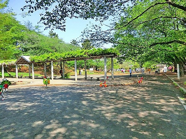 梶ケ谷第一公園(自然と触れ合える桜で有名な公園です。敷地も広く、池もあります。)