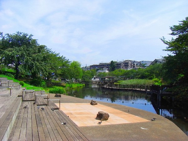 岸根公園(駅隣接の広くて有名な公園。じゃぶじゃぶ池やアスレチック、大きな芝生広場など、お弁当を持ってピクニックにくる方も大勢います。駐車場も完備。)