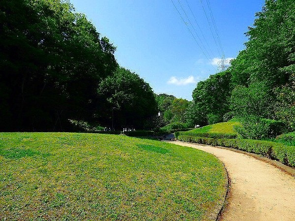 東高根森林公園(四季を感じる自然豊かな大規模公園。自然と触れ合う楽しさを感じよう。)