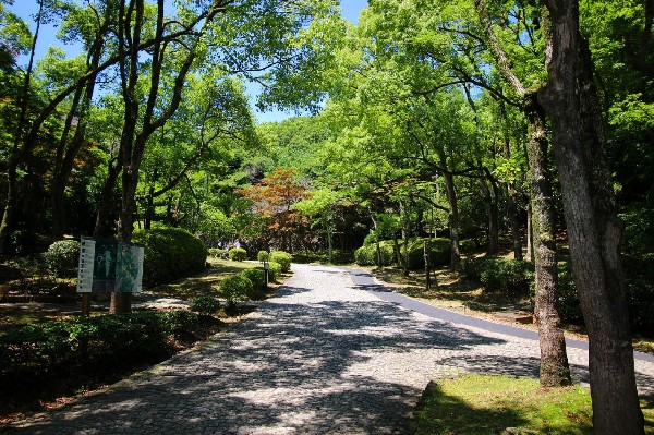 生田緑地(爽やかな風が通り、豊かな自然をそのままいかした広大な緑地。広場、プラネタリウム、バラ園など、幅広い世代が楽しめるのも魅力です。)