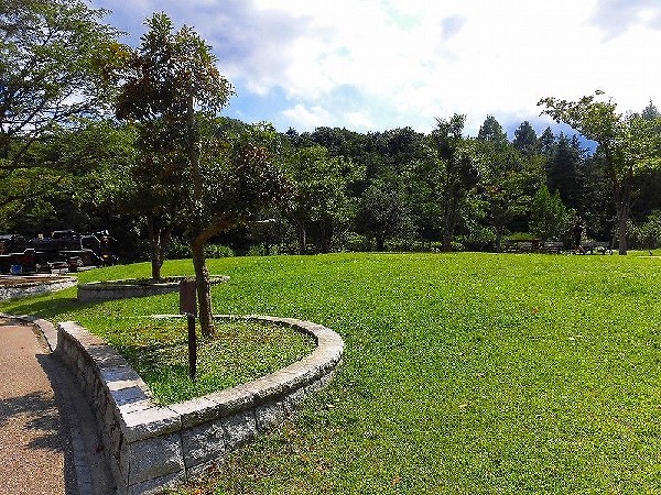 生田緑地(爽やかな風が通り、豊かな自然をそのままいかした広大な緑地。広場、プラネタリウム、バラ園など、幅広い世代が楽しめるのも魅力です。)