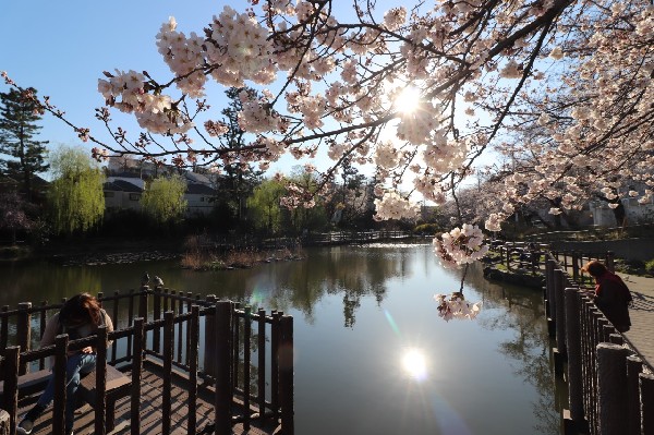 白幡池公園(滑り台、ブランコ、鉄棒がある遊びの広場と、魚釣りができる白幡池があります。)