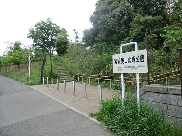 宮前美しの森公園(樹木が立ち並び、木漏れ日を愉しめる公園。都会の騒がしさから解放される、大人も癒される落ち着きある空間が広がります。)