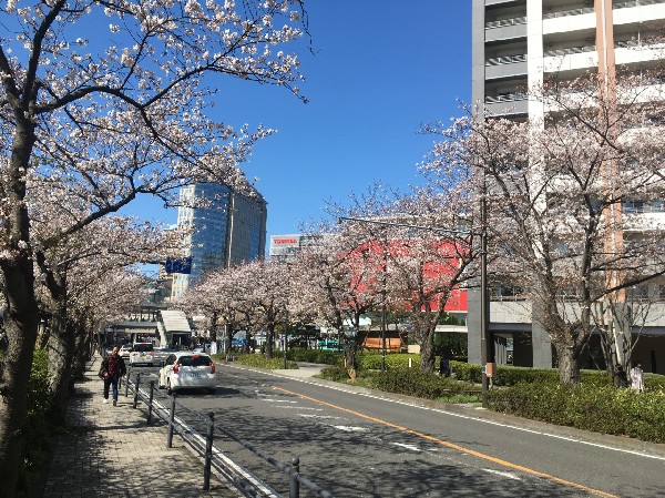 ラゾーナ川崎