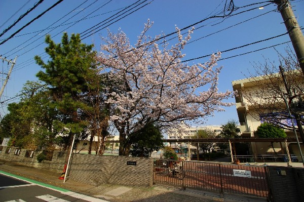 白幡小学校(お子様が一日の中でも長い時間を過ごす小学校。のびのびと過ごし、広い校庭で元気に駆け回ったり、どんどん成長していく姿が目に浮かびます。)