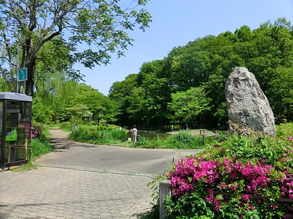 桜台公園(樹木が立ち並び、木漏れ日を愉しめる公園。都会の騒がしさから解放される、大人も癒される落ち着きある空間が広がります。)