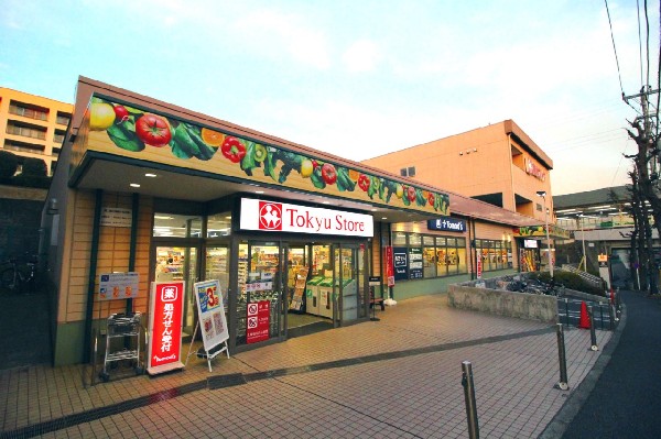 東急ストア江田店(江田駅に隣接しているスーパー。平日は22時30分まで営業しているので会社帰りにも立ち寄れるので助かる。)