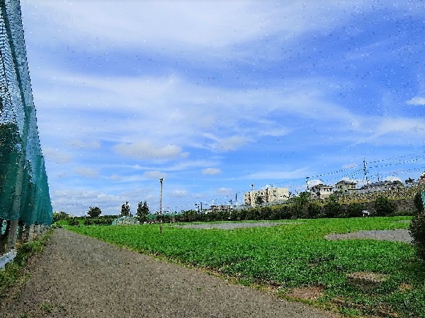 西長沢公園(敷地の大きい公園でメイン設備は広い芝生のグラウンドです。最近では無料駐車場が開設され利用しやすくなりました。)