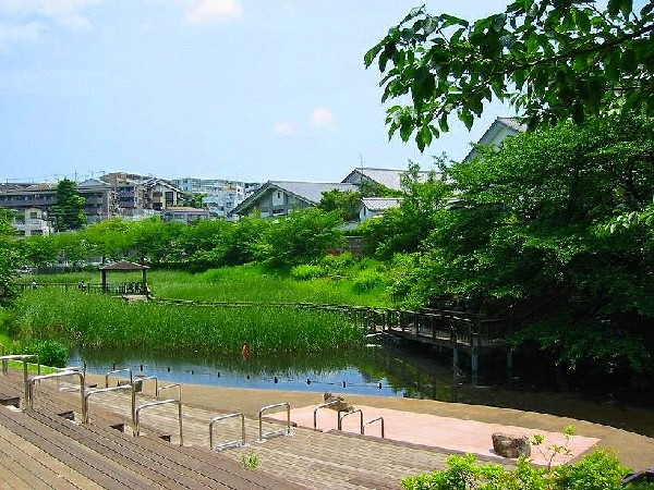 (450　岸根公園　子どもたち、そして大人も思い切り走り回れる位の広々とした芝生。園内にはいくつかの広場がある。)