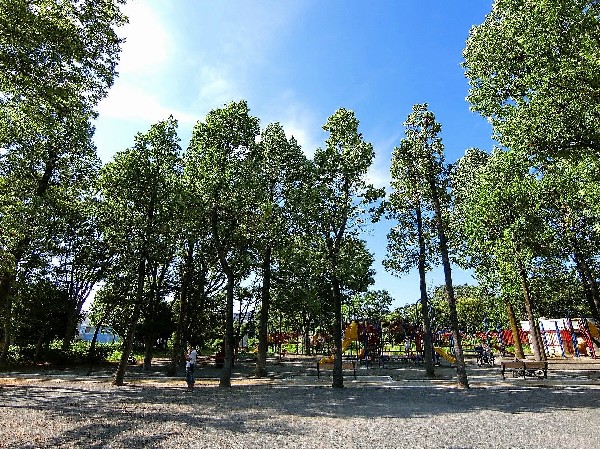 鷺沼公園(滑り台、上り棒等がからみあった大型の遊具、ブランコ、鉄棒など一通りそろっているので、子どもたちの運動不足解消に、絶好の遊び場スペースです。)