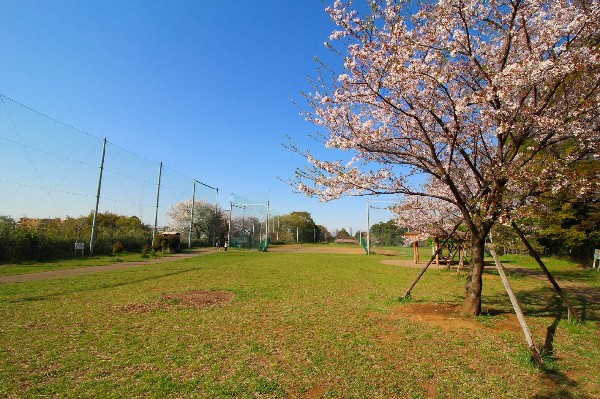 高津区市民健康の森 春日台公園(野球場が併設されている広々とした公園。都市圏にありながら森林浴が楽しめるほど、自然豊かな場所です。)