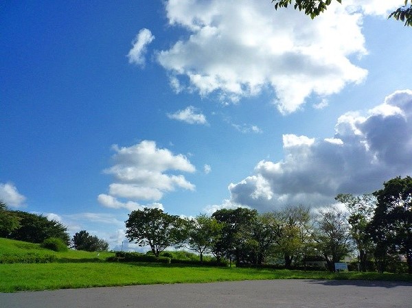 月出松公園(樹木が立ち並び、木漏れ日を愉しめる公園。都会の騒がしさから解放される、大人も癒される落ち着きある空間が広がります。)