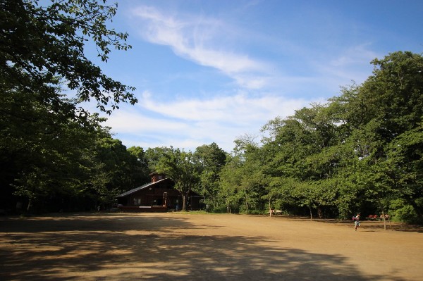 綱島公園(鶴見川の平野部に立地する標高30メートル程の独立丘上部に所在し、雑木林の広がる緑豊かな公園。)