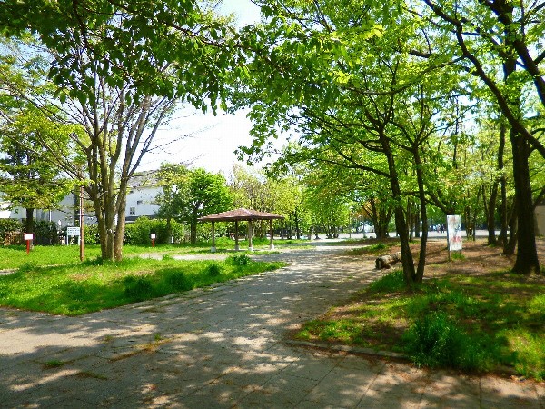 東高根森林公園(休日には、ランニングする人やお弁当を広げてピクニックするご家族で賑わいます。)