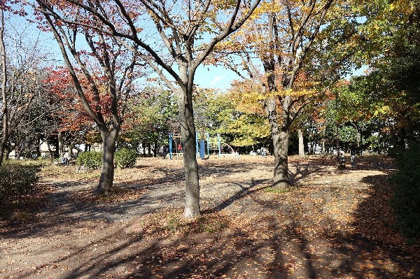 西菅公園(木々に囲まれた自然豊かな広い公園。遊具が揃っているので子供は大満足。紅葉の季節は綺麗な景観が大人も嬉しい。)