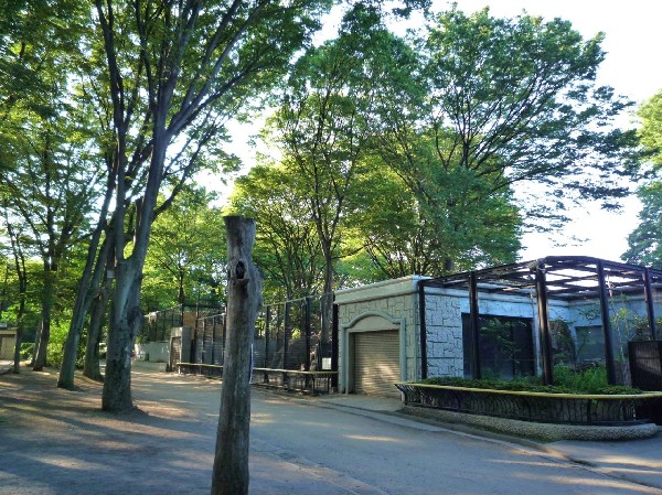 夢見ヶ崎公園 (夢見ヶ崎公園のある加瀬山は、幸区西部の市街地に囲まれた標高35mの自然林が残る小高い丘で、四季折々の植物などを楽しめる憩いの場です。)