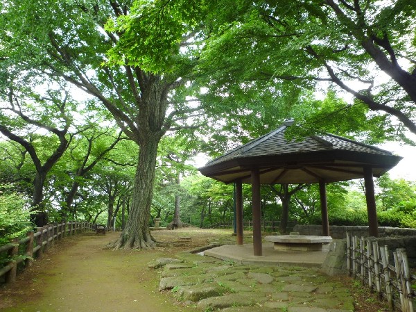 大倉山公園(梅林で有名な大きな公園、お休みの日にのんびりと過ごすことが出来ます。ドラマのロケ地にもなっています)