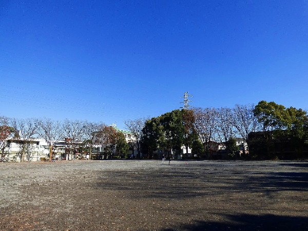 橘公園(季節の移ろいを感じられる公園。休日は四季を感じながら、ジョギングをしたり、お子様と一緒に遊べます。)