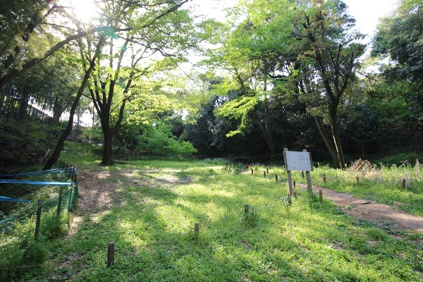 たちばなふれあいの森(樹木が立ち並び、木漏れ日を愉しめる公園。都会の騒がしさから解放される、大人も癒される落ち着きある空間が広がります。)