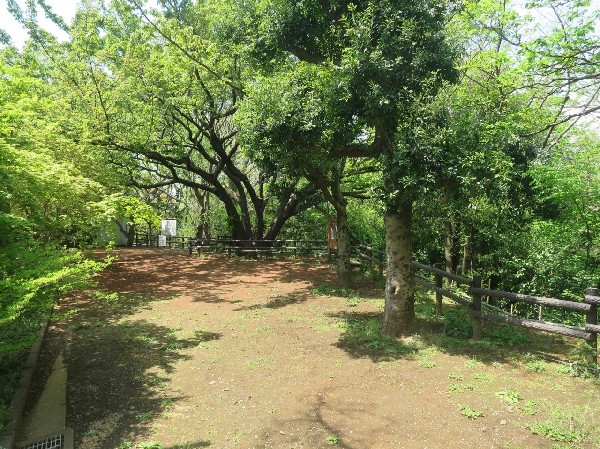 久末丸山緑地(川崎市で初の特別緑地保全地区。ベンチやテーブルもあり、憩いを求めることが出来ます。)