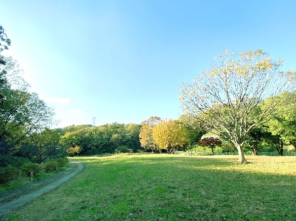 北八朔公園(里山風景を残す穴場の自然公園。夏には蛍も。すぐ裏に港北ＰＡがあるので車好きのお子様に喜ばれます。)