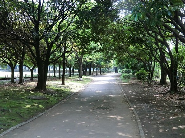 入船公園(芝生が広がる自由広場にはワンちゃんが全力で遊べるドッグランなどもあります！テニスコート、野球場も完備。)