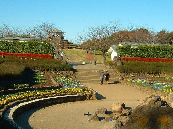 四季の森公園(季節によってさまざまな野花が咲き誇る。ジャンボ滑り台や水遊び可能な池がお子様にも人気。)