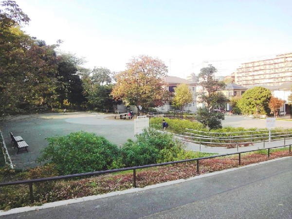 渋沢金井公園(緑が多く木漏れ日を楽しめる公園。紫陽花が綺麗です。すべり台、ブランコ等の遊具があり親子で楽しめます。)