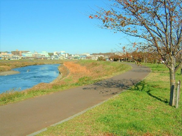 鶴見川(お散歩やランニングなどにも最適な鶴見川河川敷、季節の移ろいを感じながら心も体もリフレッシュ！)