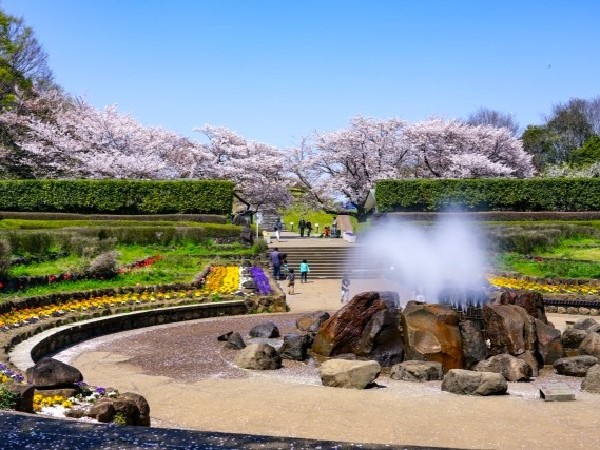 四季の森公園(季節によってさまざまな野花が咲き誇る。ジャンボ滑り台や水遊び可能な池がお子様にも人気の大規模公園。)