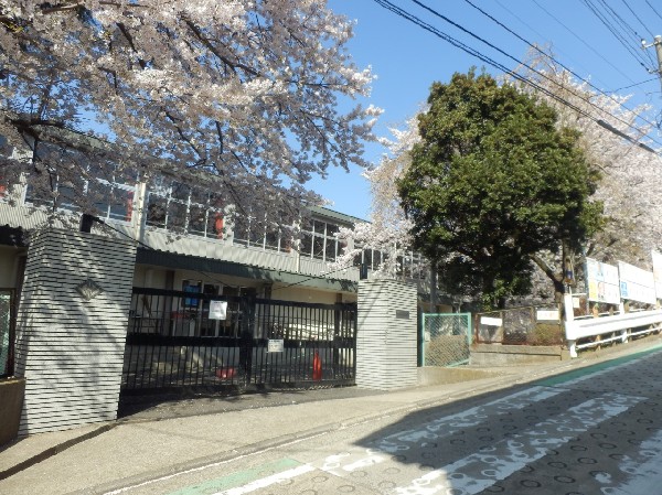 港北小学校(木材を多く使った温かみのある校舎。教室と廊下の間に仕切り壁のなく開放的です。敷地内に綺麗な桜道があります。)