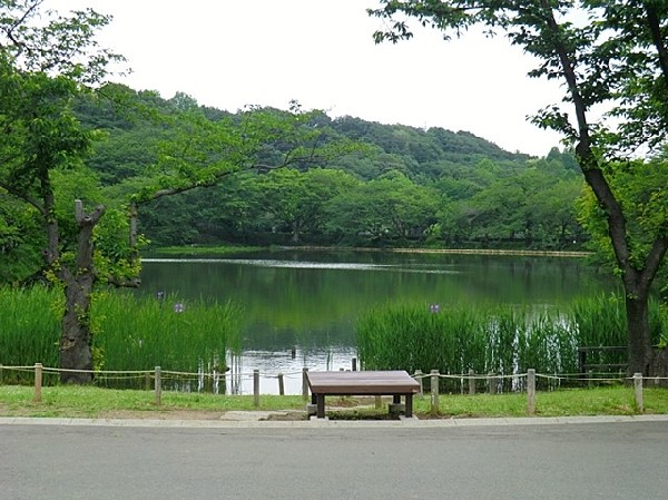 三ツ池公園(春には1600本の桜が開花する名所。テニスコート、プール、ロング滑り台等があり1日中楽しめる大型公園)