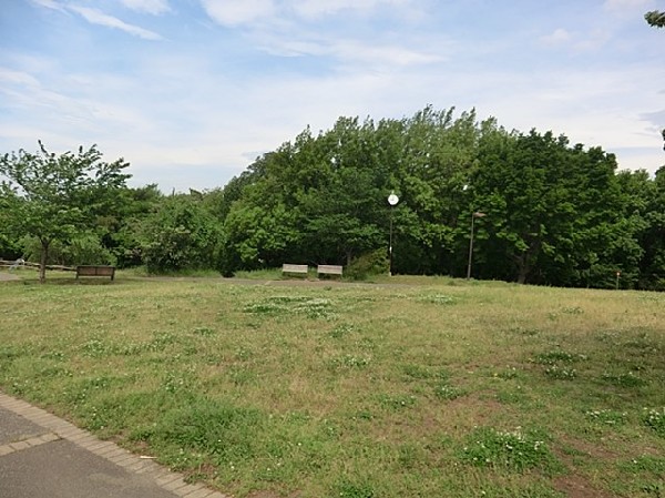 上星川あおぞら公園(ターザンロープや複合遊具、広場がある公園。森のエリアには吊り橋も。見晴らし台からの富士山や夜景が綺麗です。)