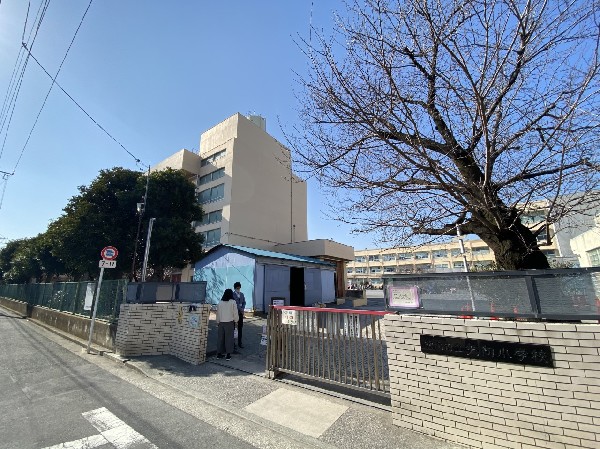 矢向小学校(毎年6月に地域住民を招き校内の池で蛍の鑑賞会を行う。教育目標は「わたしが、みんながかがやく矢向の森」。)