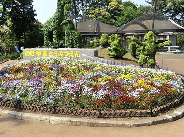 野毛山動物園(野毛山公園内に位置する横浜市立の入園無料の動物園。広い敷地内はお散歩コースとしても気楽に楽しめます。)