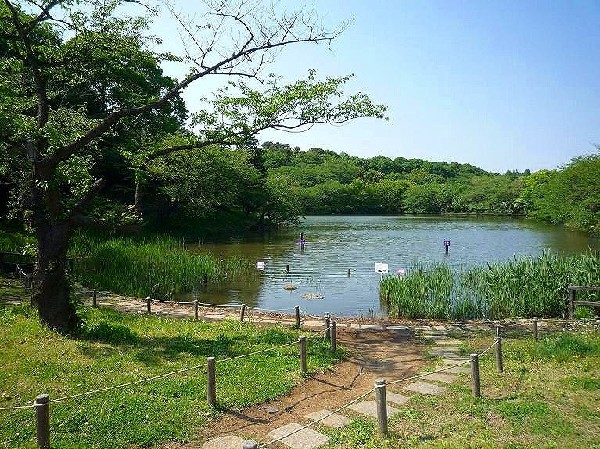 三ツ池公園(春には1600本の桜が開花する名所。テニスコート、プール、ロング滑り台等があり1日中楽しめます。)