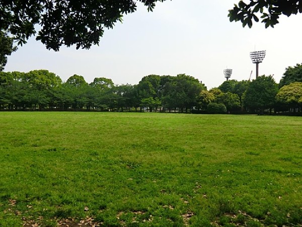 入船公園(ナイター付きの野球場とテニスコート、遊具や芝生広場、ドッグランがある自然公園。四季折々の花が美しい。)